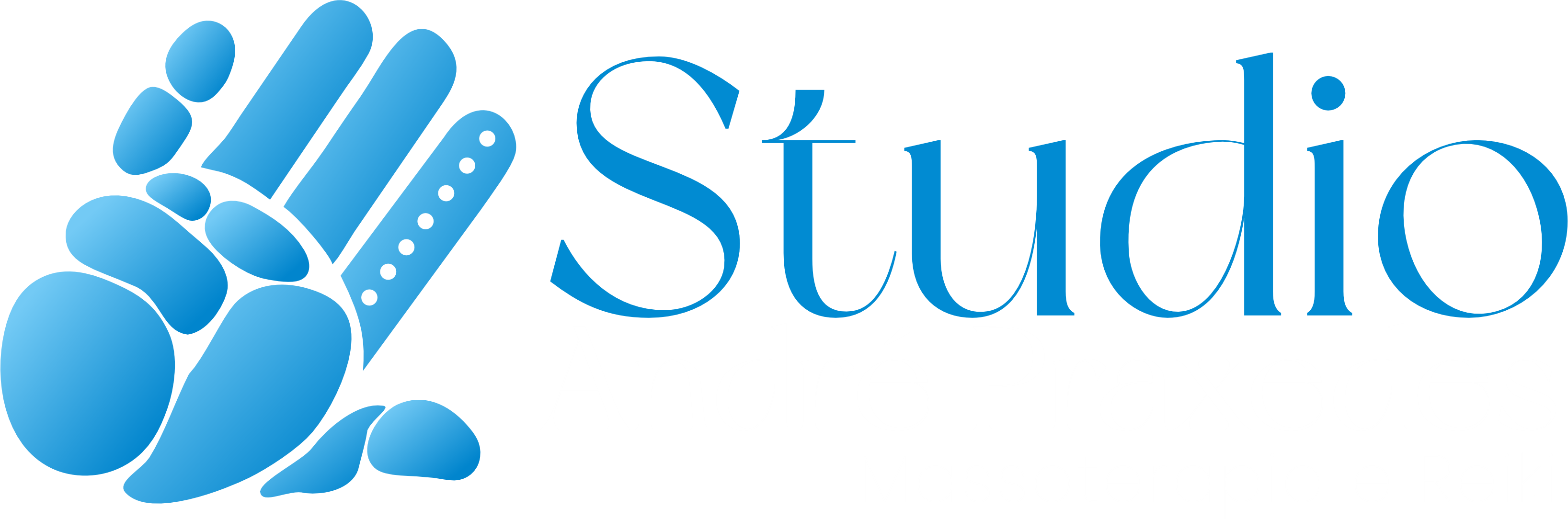 Stúdio